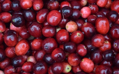 A Trilogy of Hope +1: The Fact of Cranberries